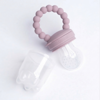Early Chew Fruit Feeder